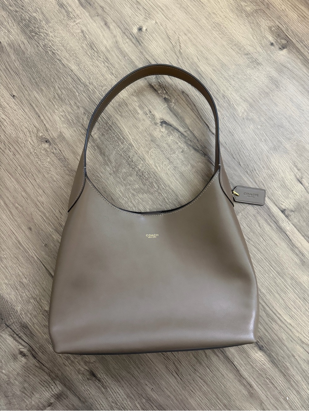 DHGATE Coach Brooklyn Style Bag